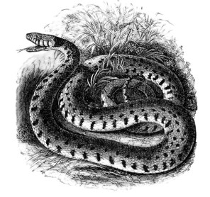 Jak żyć bez strachu?