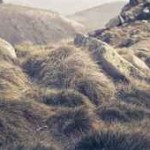 Jak Brandon Bay wyleczyła się, Podróż